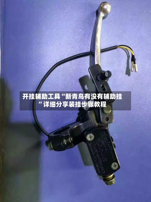 开挂辅助工具“新青鸟有没有辅助挂”详细分享装挂步骤教程-第1张图片