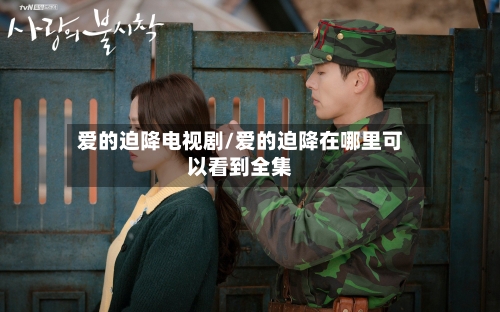 爱的迫降电视剧/爱的迫降在哪里可以看到全集-第1张图片