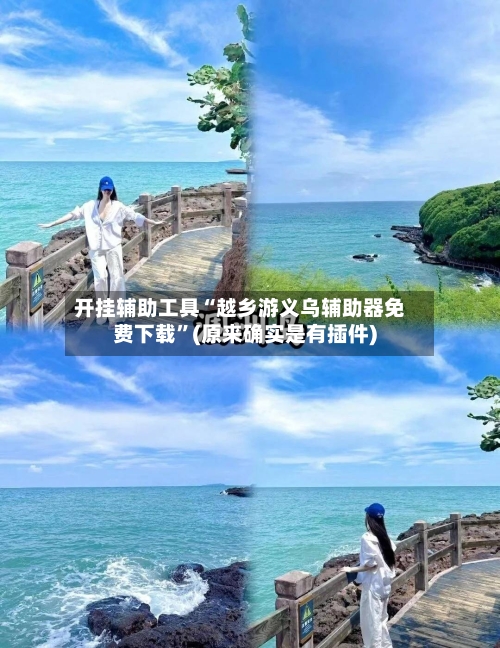 开挂辅助工具“越乡游义乌辅助器免费下载	”(原来确实是有插件)-第1张图片