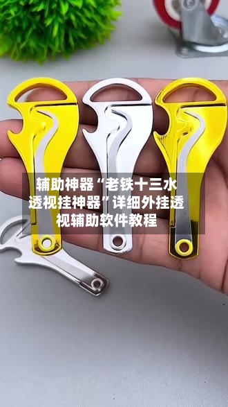辅助神器“老铁十三水透视挂神器	”详细外挂透视辅助软件教程-第1张图片