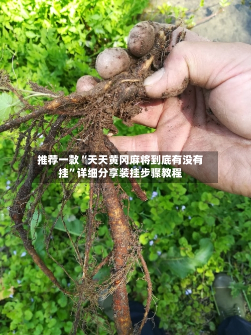 推荐一款“天天黄冈麻将到底有没有挂	”详细分享装挂步骤教程-第1张图片