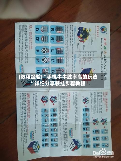 [教程经验]“手机牛牛胜率高的玩法	”详细分享装挂步骤教程-第1张图片