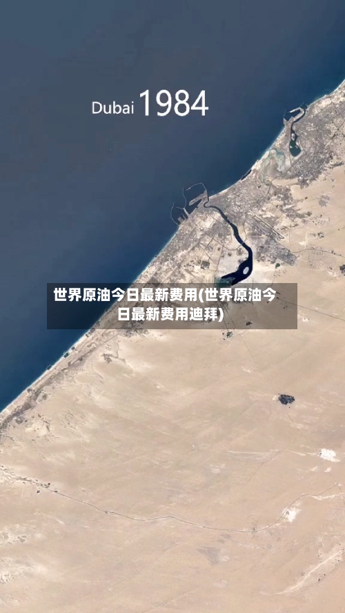 世界原油今日最新费用(世界原油今日最新费用迪拜)-第1张图片