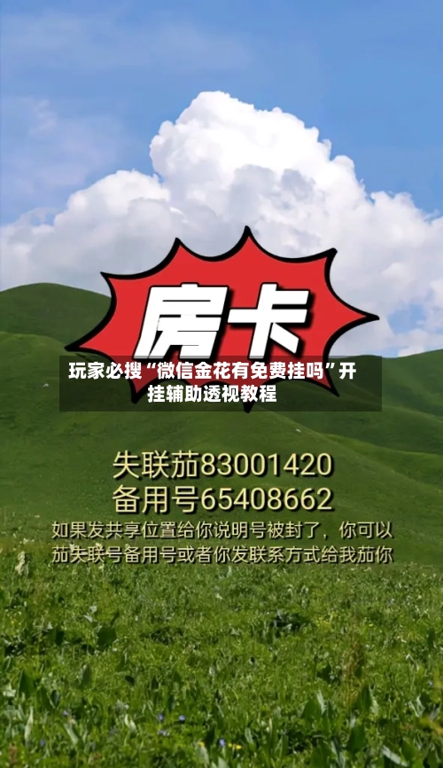 玩家必搜“微信金花有免费挂吗	”开挂辅助透视教程-第1张图片