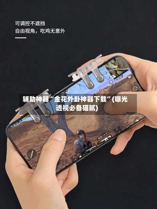 辅助神器“金花外卦神器下载”(曝光透视必备猫腻)-第1张图片