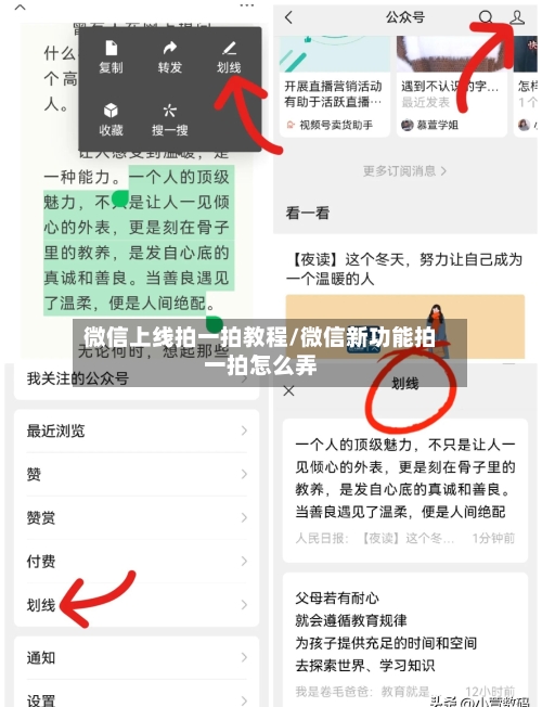 微信上线拍一拍教程/微信新功能拍一拍怎么弄-第1张图片