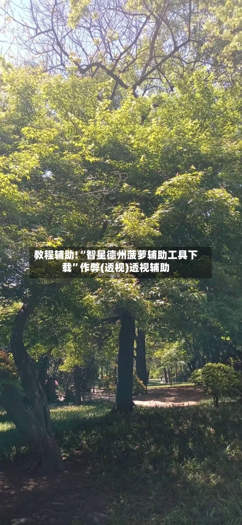 教程辅助!“智星德州菠萝辅助工具下载”作弊(透视)透视辅助-第1张图片