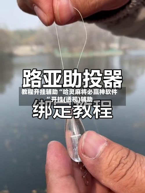 教程开挂辅助“哈灵麻将必赢神软件”开挂(透视)辅助-第1张图片