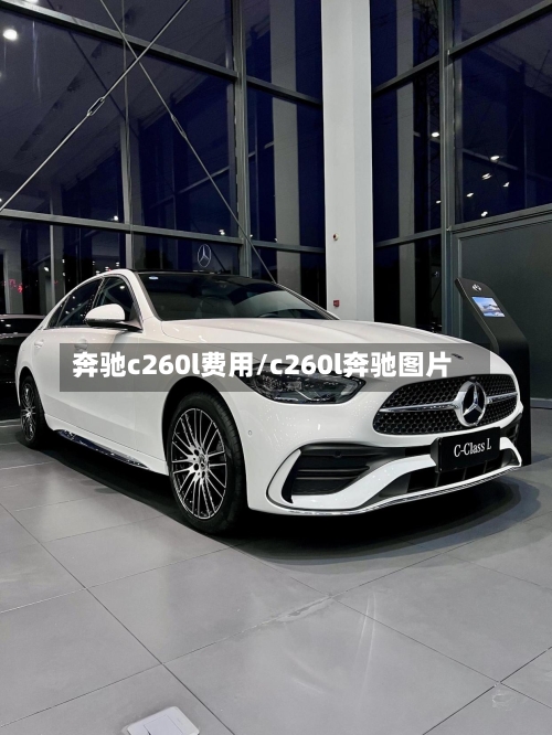 奔驰c260l费用/c260l奔驰图片-第1张图片