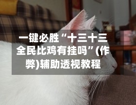 一键必胜“十三十三全民比鸡有挂吗	”(作弊)辅助透视教程-第1张图片