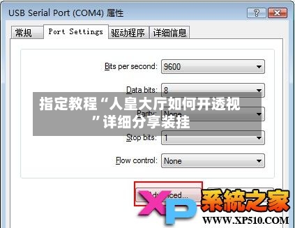 指定教程“人皇大厅如何开透视	”详细分享装挂-第1张图片