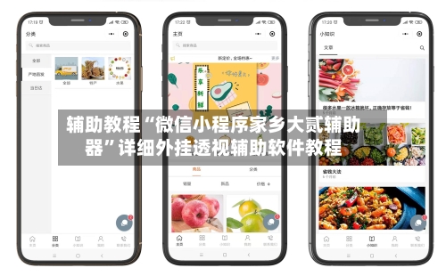 辅助教程“微信小程序家乡大贰辅助器	”详细外挂透视辅助软件教程-第1张图片