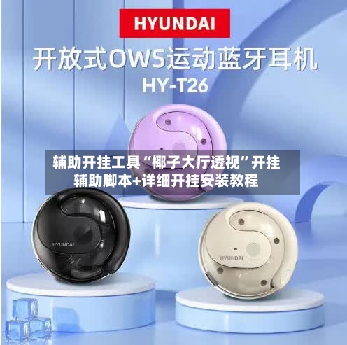 辅助开挂工具“椰子大厅透视”开挂辅助脚本+详细开挂安装教程-第1张图片