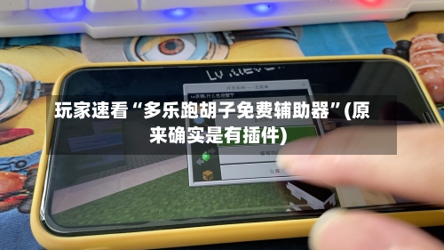 玩家速看“多乐跑胡子免费辅助器”(原来确实是有插件)-第1张图片