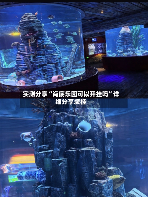 实测分享“海底乐园可以开挂吗”详细分享装挂-第1张图片