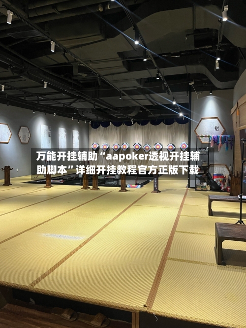 万能开挂辅助“aapoker透视开挂辅助脚本”详细开挂教程官方正版下载-第1张图片
