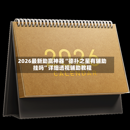 2026最新助赢神器“德扑之星有辅助挂吗”详细透视辅助教程-第1张图片