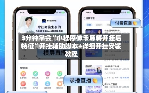 3分钟学会“小程序微乐麻将开挂后特征”开挂辅助脚本+详细开挂安装教程-第1张图片