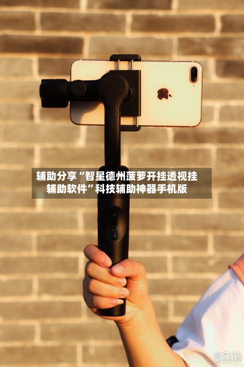 辅助分享“智星德州菠萝开挂透视挂辅助软件	”科技辅助神器手机版-第1张图片