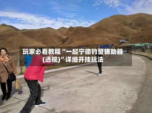 玩家必看教程“一起宁德钓蟹辅助器(透视)”详细开挂玩法-第1张图片