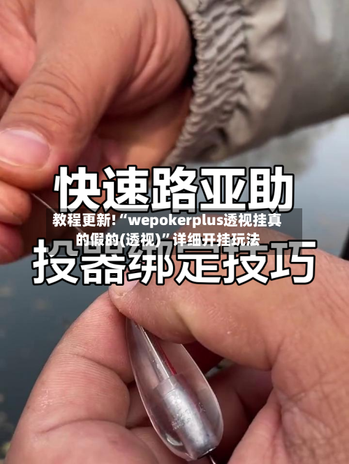 教程更新!“wepokerplus透视挂真的假的(透视)”详细开挂玩法-第1张图片