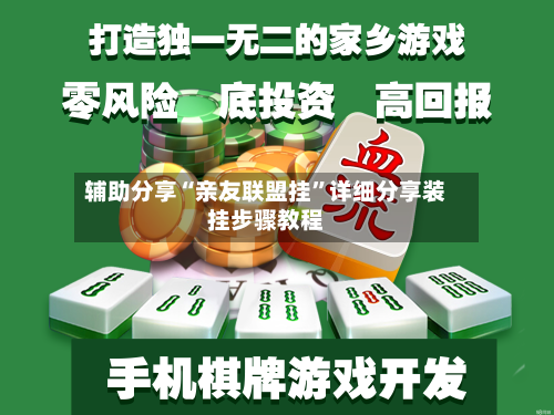 辅助分享“亲友联盟挂”详细分享装挂步骤教程-第1张图片