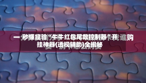 秒懂经验“牛牛红包尾数控制器”开挂神器{透视辅助}全揭秘-第1张图片
