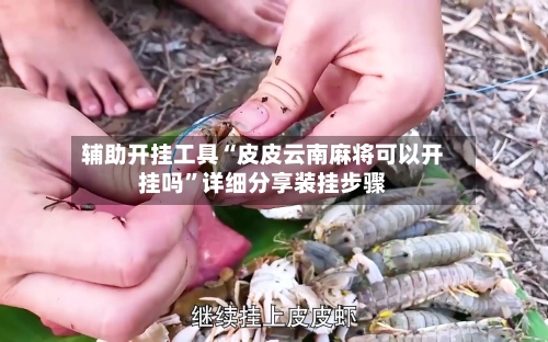 辅助开挂工具“皮皮云南麻将可以开挂吗	”详细分享装挂步骤-第1张图片