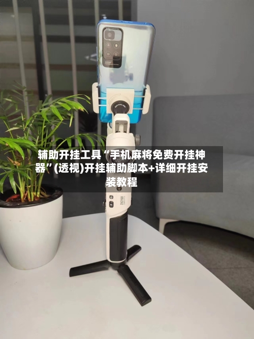 辅助开挂工具“手机麻将免费开挂神器”(透视)开挂辅助脚本+详细开挂安装教程-第1张图片