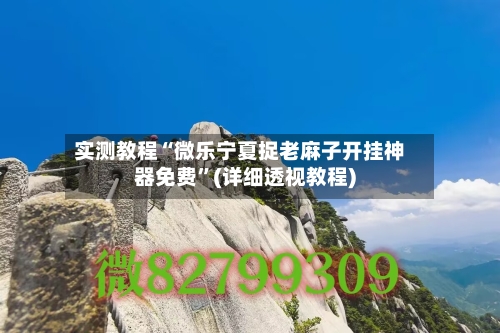 实测教程“微乐宁夏捉老麻子开挂神器免费”(详细透视教程)-第1张图片