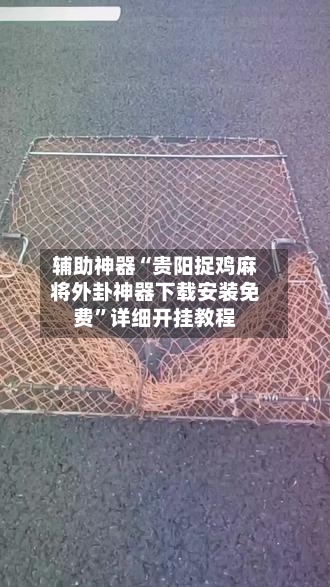辅助神器“贵阳捉鸡麻将外卦神器下载安装免费”详细开挂教程-第1张图片