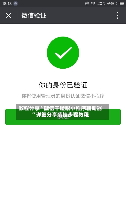 教程分享“微信干瞪眼小程序辅助器”详细分享装挂步骤教程-第1张图片