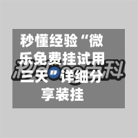 秒懂经验“微乐免费挂试用三天	”详细分享装挂-第1张图片