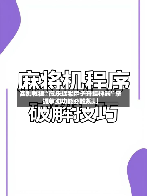 实测教程“微乐捉老麻子开挂神器	”掌握辅助功能必胜规则-第1张图片