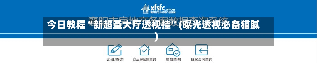 今日教程“新超圣大厅透视挂	”(曝光透视必备猫腻)-第1张图片