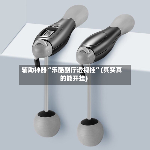 辅助神器“乐酷副厅透视挂”(其实真的能开挂)-第1张图片