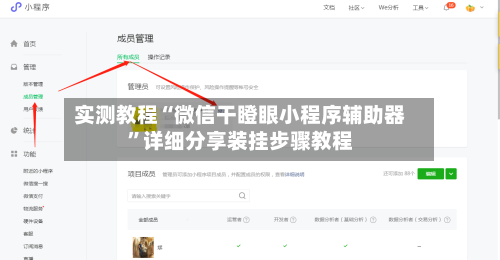 实测教程“微信干瞪眼小程序辅助器”详细分享装挂步骤教程-第1张图片