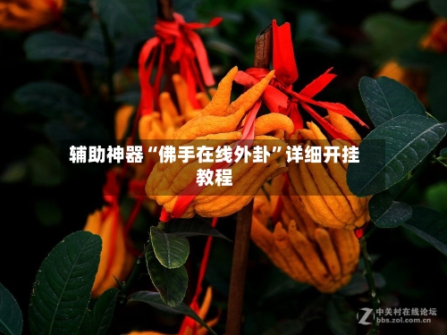 辅助神器“佛手在线外卦	”详细开挂教程-第1张图片