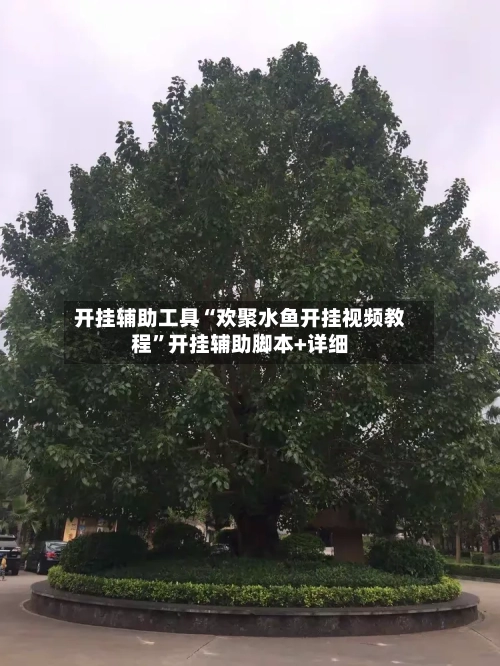 开挂辅助工具“欢聚水鱼开挂视频教程”开挂辅助脚本+详细-第1张图片