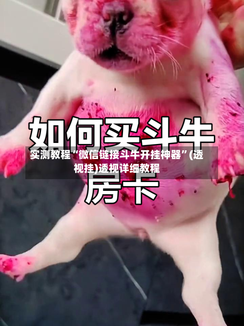 实测教程“微信链接斗牛开挂神器	”(透视挂)透视详细教程-第1张图片