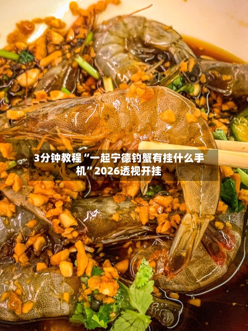 3分钟教程“一起宁德钓蟹有挂什么手机”2026透视开挂-第1张图片