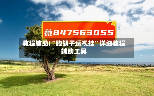 教程辅助!“跑胡子透视挂”详细教程辅助工具-第1张图片