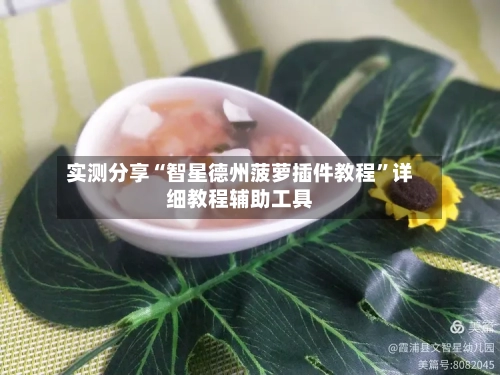 实测分享“智星德州菠萝插件教程”详细教程辅助工具-第1张图片