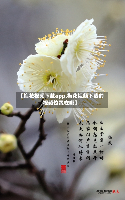 【梅花视频下载app,梅花视频下载的视频位置在哪】-第1张图片
