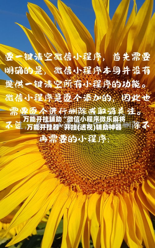 万能开挂辅助“微信小程序微乐麻将万能开挂器”开挂(透视)辅助神器-第1张图片