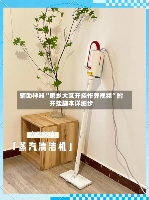 辅助神器“家乡大贰开挂作弊视频”附开挂脚本详细步-第1张图片