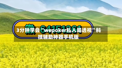 3分钟学会“wepoker私人局透视”科技辅助神器手机版-第1张图片