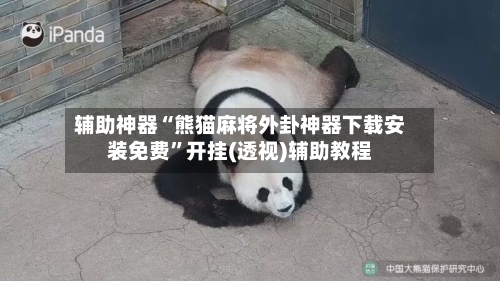 辅助神器“熊猫麻将外卦神器下载安装免费”开挂(透视)辅助教程-第1张图片