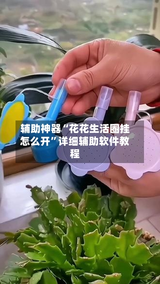 辅助神器“花花生活圈挂怎么开	”详细辅助软件教程-第1张图片