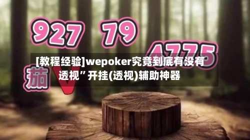 [教程经验]wepoker究竟到底有没有透视	”开挂(透视)辅助神器-第1张图片